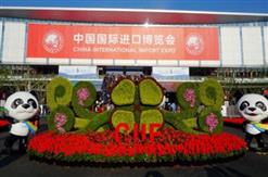 公司员工参观第二届中国国际进口博览会