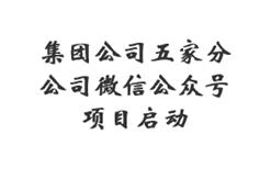 集团公司五家分公司微信公众号项目启动